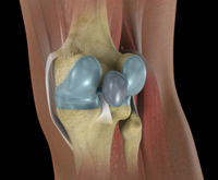 Knee Image Knee