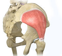 Hip Image Hip