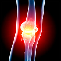 Knee Image Knee